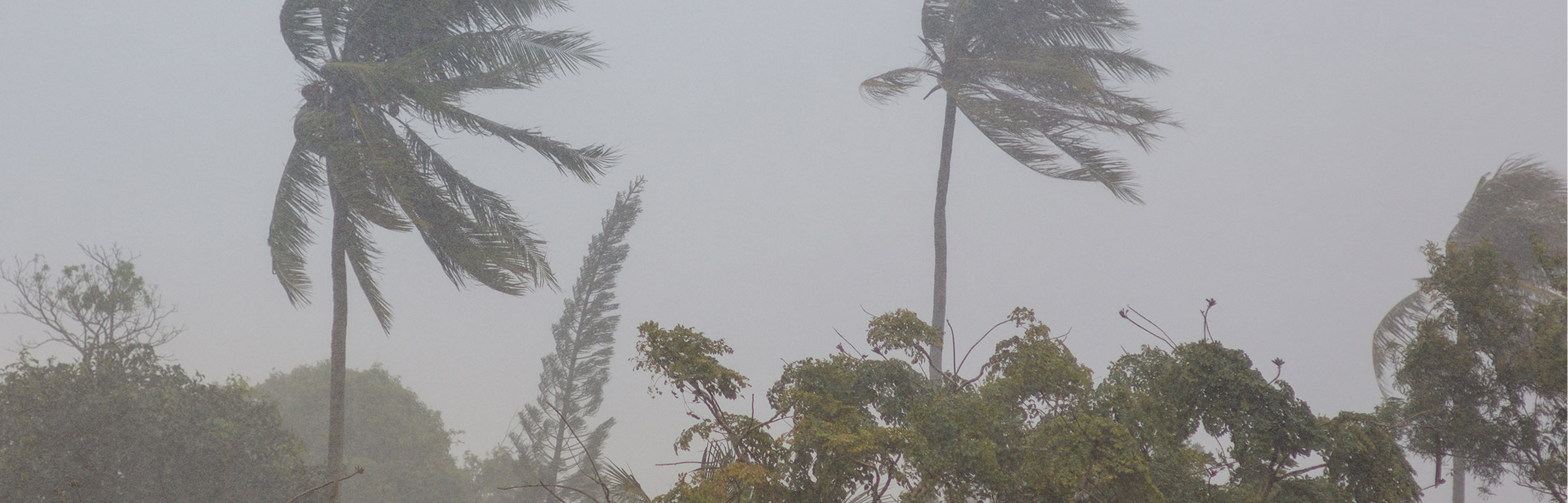 Storms that create wind and water damage